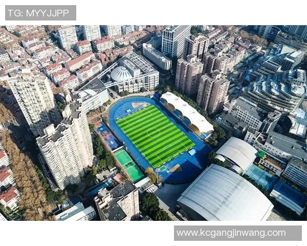 绘制足球明星的精彩瞬间视频合集，尽享绿茵场上的辉煌时刻与激情瞬间